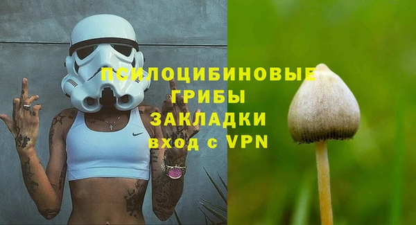 эйфоретик Касимов
