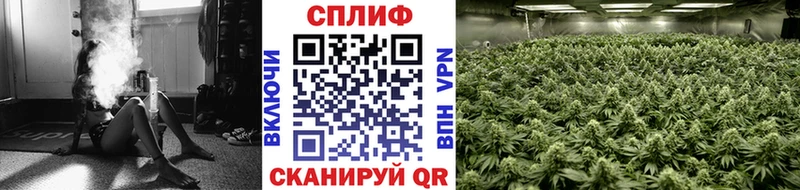 Купить где  Алапаевск  Конопля тримм 